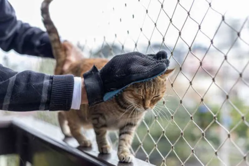 rede protetora de animais