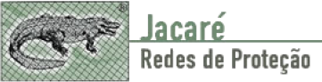 Jacaré